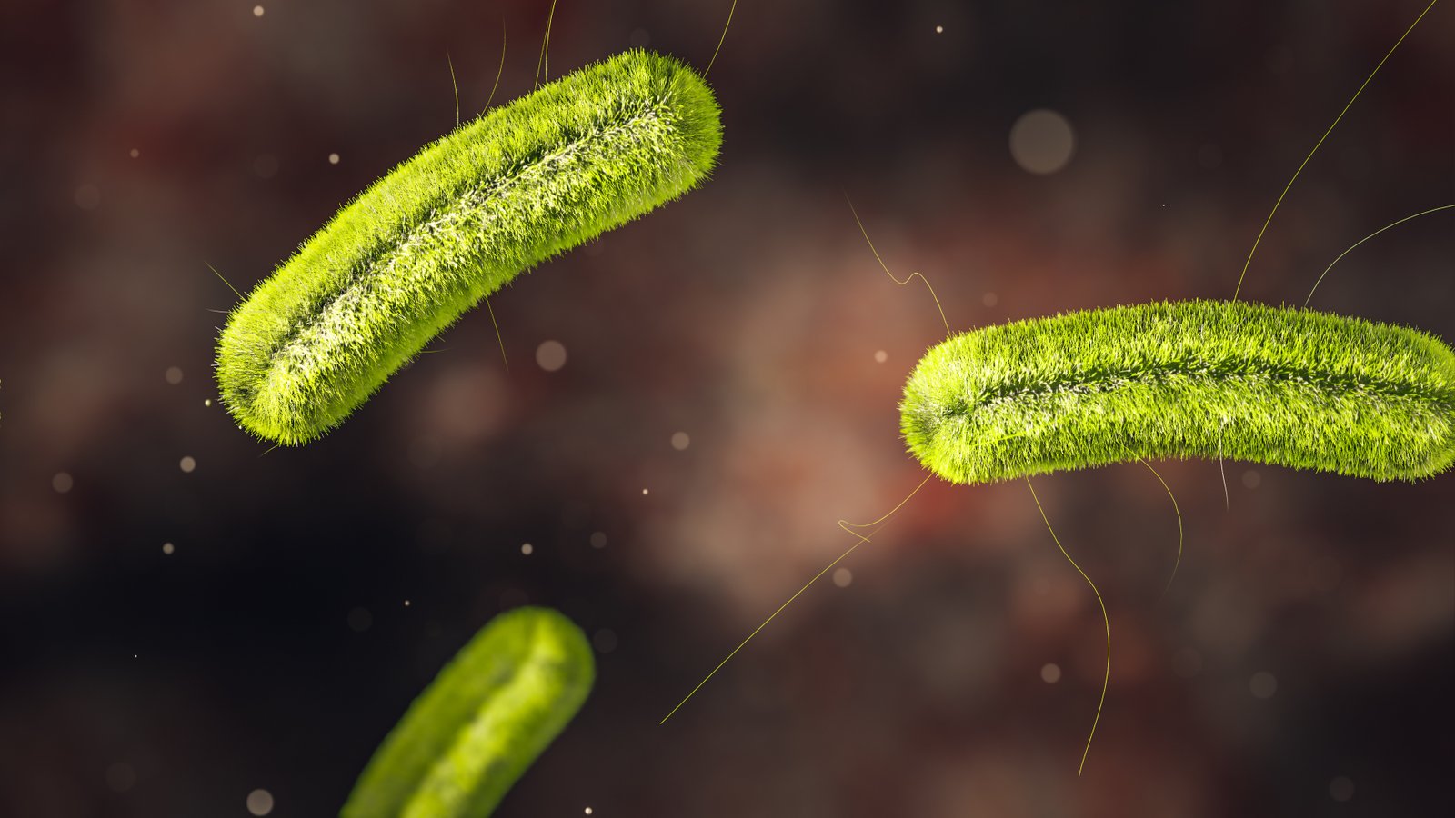 3D-rendered digital illustration of green rod-shaped bacteria with hair-like structures, floating in a microscopic environment.